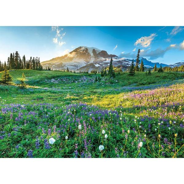 WO\[pY yȂ}Eg[jA  500s[X  APP-500-269