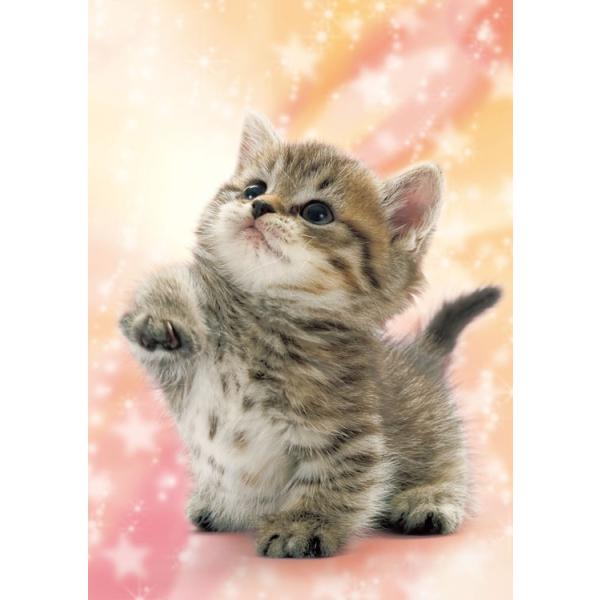 商品名：なにかニャ？サイズ：18.2×25.7cm品　番：EPO-04-530ピース数：216メーカー：エポック社補　足：【ジグソーパズル】【ペット・動物】【ねこ】【スモールピース系】【スモールピース】【パズルの達人】【高画質印刷】【100...