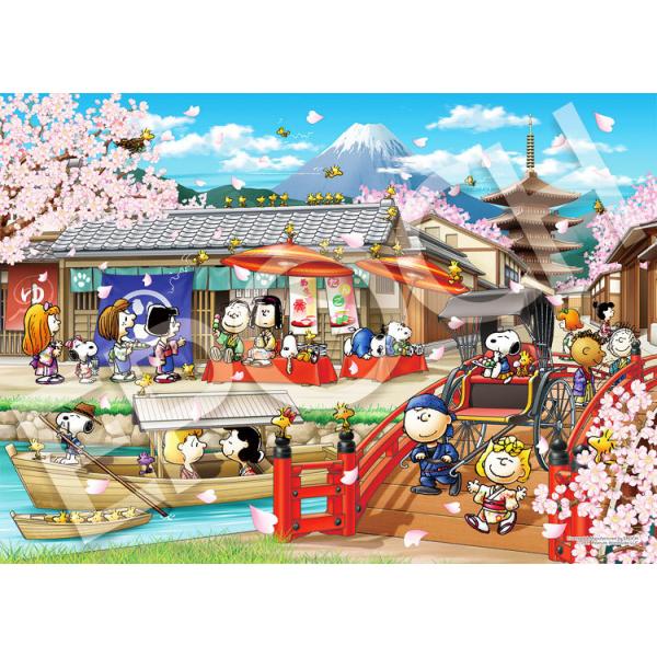 WO\[pY Xk[s[ C Wp(Xk[s[) mCP-SNn 2000s[X  EPO-54-217s