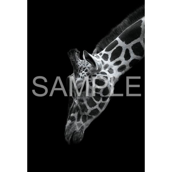 ジグソーパズル Epo 71 685 ペット 動物 The Zoological Garden 言葉のない対話 キリン 300ピース Epo 森のおもちゃ屋さん 通販 Yahoo ショッピング