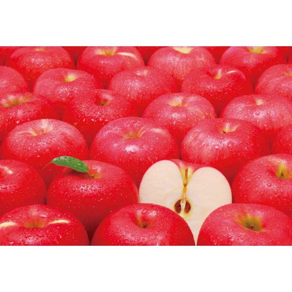 �W�O�\�[�p�Y�� �����S����̒����  1053�s�[�X  EPO-79-363