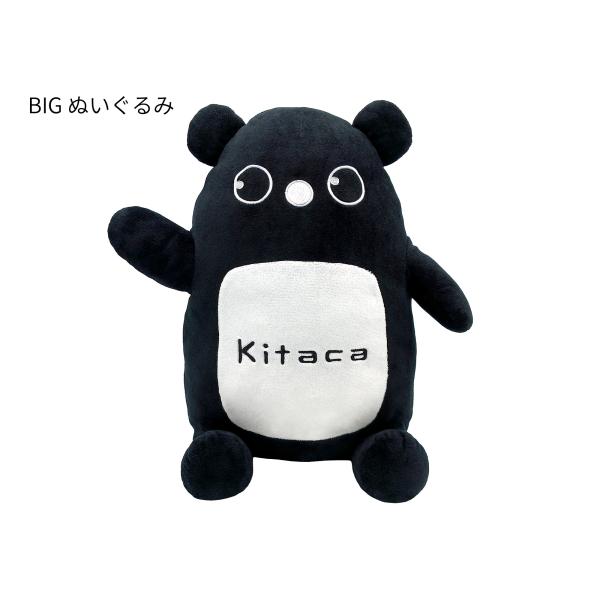 【送料無料】JR北海道 Kitaca BIGぬいぐるみ（エゾモモンガ）
