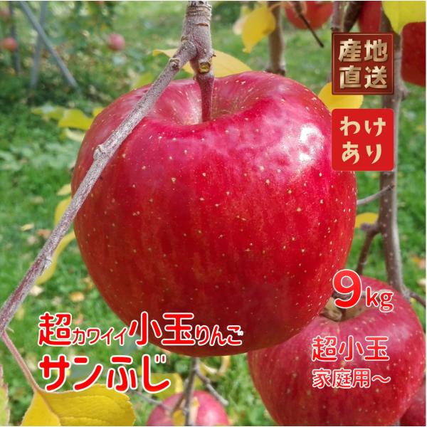 [Release date: December 12, 2025]【品種】『サンふじ』小さいけれど太陽の光をたくさん浴びて究極に美味しくなりました。【規格】超小玉(家庭用〜秀)【重さ】約9.0kg【玉数】40〜66玉【味】甘さと酸味の絶妙な...