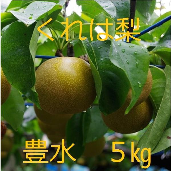 吉田梨園の豊水 呉羽梨 5ｋｇ Buyee Buyee Japanese Proxy Service Buy From Japan Bot Online