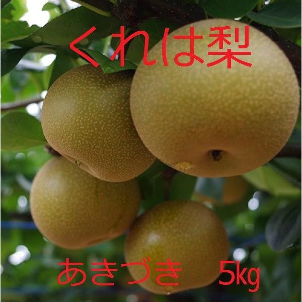 吉田梨園のあきづき 呉羽梨 5ｋｇ Yon 005 富山や 通販 Yahoo ショッピング