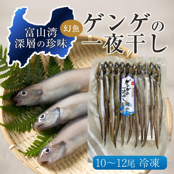 ＜富山湾深層水域の珍味ゲンゲ＞・昔は下（ゲ）の下（ゲ）の魚として「ゲンゲ」と呼ばれましたが、いまや幻（ゲン）の魚（ギョ→ゲ）としての「ゲンゲ」です。・見た目はちょっと怖いかもしれませんが、味は淡泊で上品な白身魚。・内臓を除去し、程よい塩味が...