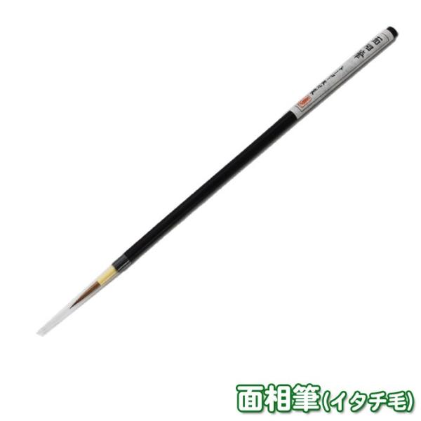 { ʑM  M GM fUC ޗpi o Pi