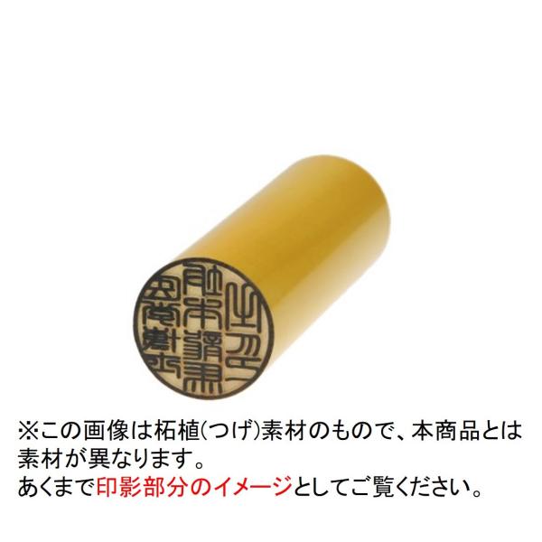 士業用印鑑 医学博士 丸棒 職印 資格印 先生印 黒水牛 丸印 18mm はんこ 印鑑 即日発送 中