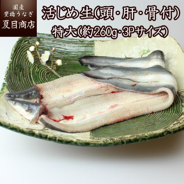 Ȃ  Y  (ÉEt)   3PTCY(260g)×2 EiM V  Y mY X Y ① `h