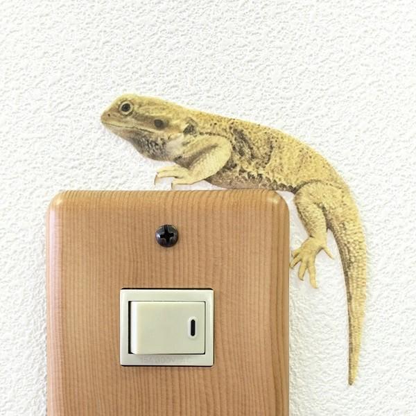 ঒ EH[XebJ[ ANIMAL LIFE Aj}Ct utgASqQgJQiCG[jvXCb` XebJ[