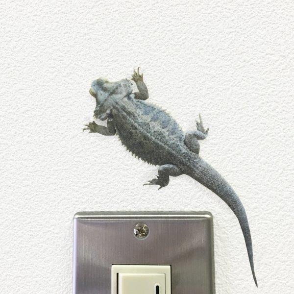 ঒ EH[XebJ[ ANIMAL LIFE Aj}Ct utgASqQgJQi^jvXCb` XebJ[