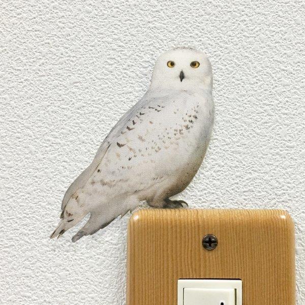  バード　owl フクロウ owl / フクロウ 1メートル正方形作品 | iichi 日々の暮らしを