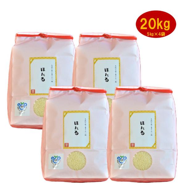 ミルキークイーン 令和7年産 精米 白米 20kg 20キロ お米 お歳暮 お