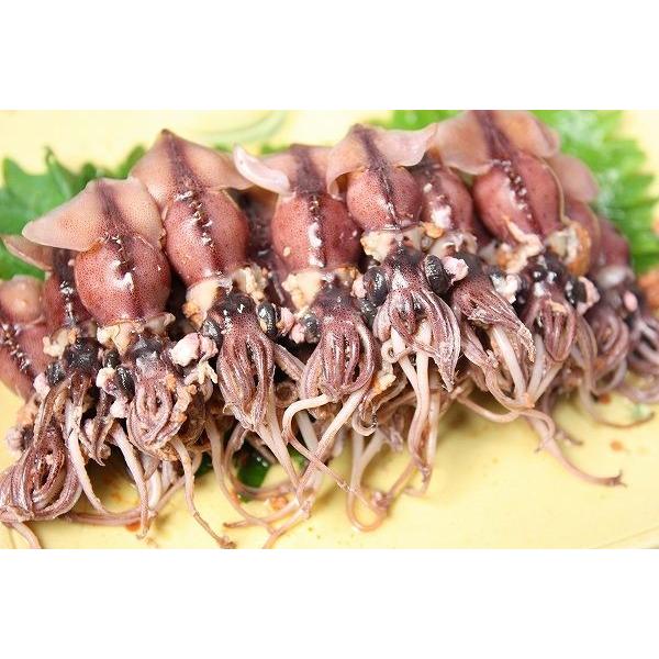 ホタルイカ ほたるいか 尾 約150g 富山産 刺身用 いか イカ 烏賊 生ホタルイカ Buyee Buyee Japanese Proxy Service Buy From Japan Bot Online