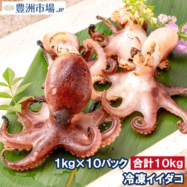 イイダコ いいだこ 業務用 10kg 1kg×10 タコ たこ 蛸 飯蛸 冷凍 バラ凍結 チュクミ ポックム 韓国料理  鍋 おでん 飯蛸 たこ飯 下処理済み 築地市場 豊洲市場