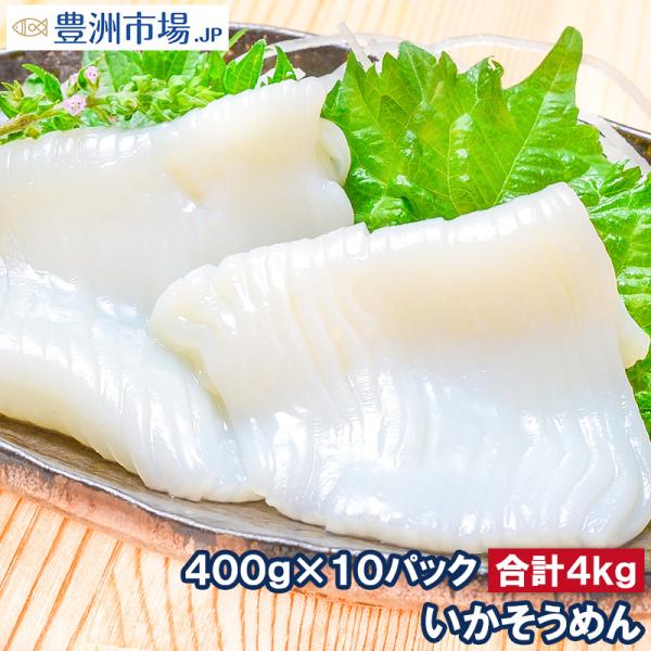 お中元 国産 いかそうめん イカソーメン 合計4kg 400g×10パック スルメイカ  いか イカ 烏賊