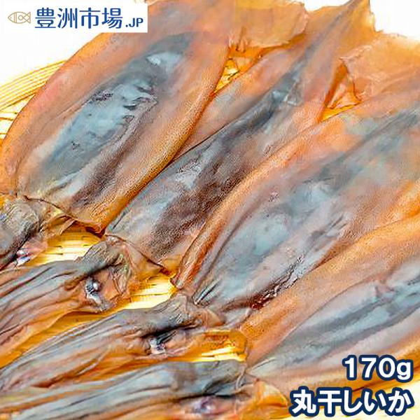 お中元 丸干しいか 170g前後 3〜5杯×1パック イカワタ入り いか イカ スルメイカ