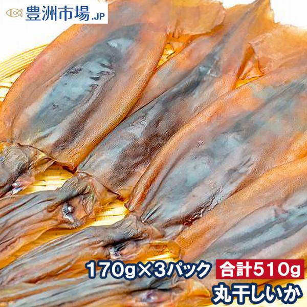 お中元 丸干しいか 合計510g前後 170g前後 3〜5杯×3パック イカワタ入り いか イカ スルメイカ