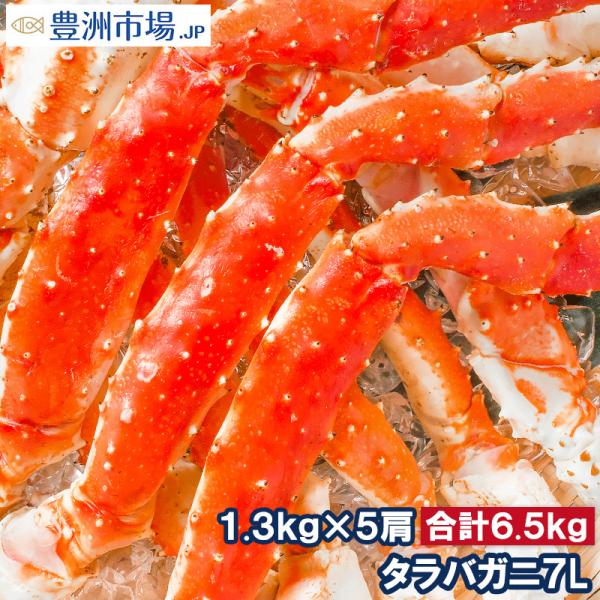 お中元 タラバガニ たらばがに 超特大 極太 7L 1.3kg ×5肩 セット 合計 6.5kg 前後 足 脚 肩 セクション 正規品