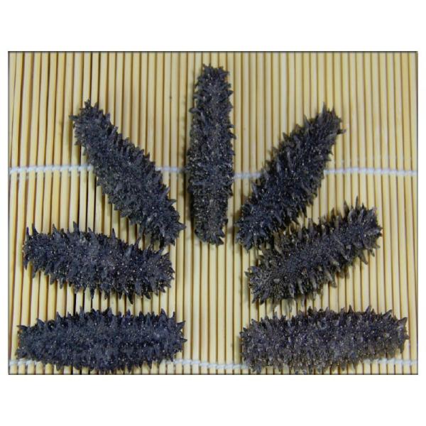 激安初回お試し限定 北海道産AB級品 乾燥なまこ ナマコ なまこ 100ｇ入り Mサイズ 8〜11g 【贈答用】