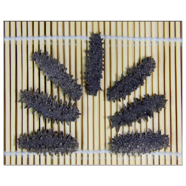 北海道産AB級品 乾燥なまこ なまこ ナマコ 500g入り Sサイズ 2~5g