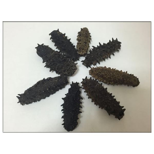 北海道産乾燥ナマコ 合計310g 訳ありB級品 ミックスサイズ(大〜中