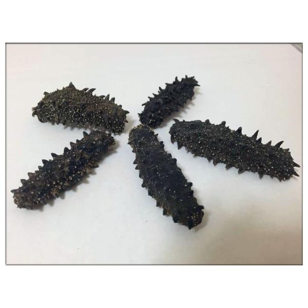 北海道産B級品 乾燥なまこ なまこ ナマコ 500g入り Mサイズ 5g以上