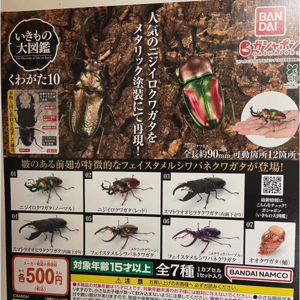 BANDAI（バンダイ） くわがた10 全7種セット いきもの大図鑑