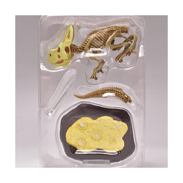 }X^[ [5.vgPgvX ΃J[]y lR|Xs z