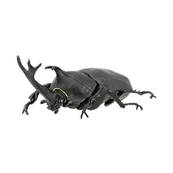 n^[ JugV×NK^ 2021 [1.JugV()]y lR|Xs z