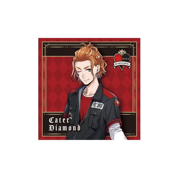 fBYj[ cCXebh_[h LfBO~3 [4.PCgE_Ch]ylR|XzΉzyCz V[݂̂ł