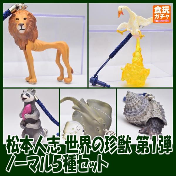 限定価格セール 松本人志 世界の珍獣 fawe.org