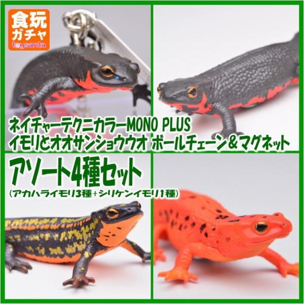 送料無料 ネイチャーテクニカラーmono Plus イモリとオオサンショウウオ ボールチェーン マグネット 4種セット アカハライモリ3種 シリケンイモリ1種 トイサンタ Paypayモール店 通販 Paypayモール