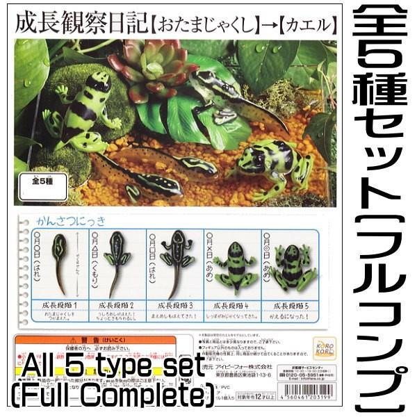 全部揃ってます!!】コロコロコレクション 成長観察日記