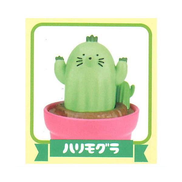 ミニ サボテンの人気商品 通販 価格比較 価格 Com