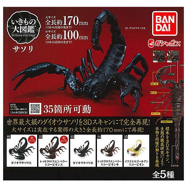 全部揃ってます いきもの大図鑑 サソリ 全5種セット フルコンプ ネコポス配送対応 C トイサンタ Paypayモール店 通販 Paypayモール
