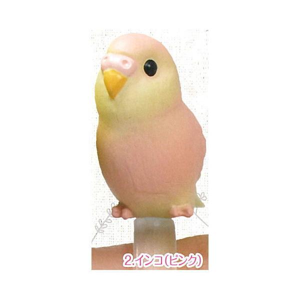 指のりインコ 2 インコ ピンク ネコポス配送対応 C G 4pxc000tml 002 397 トイサンタ ヤフー店 通販 Yahoo ショッピング