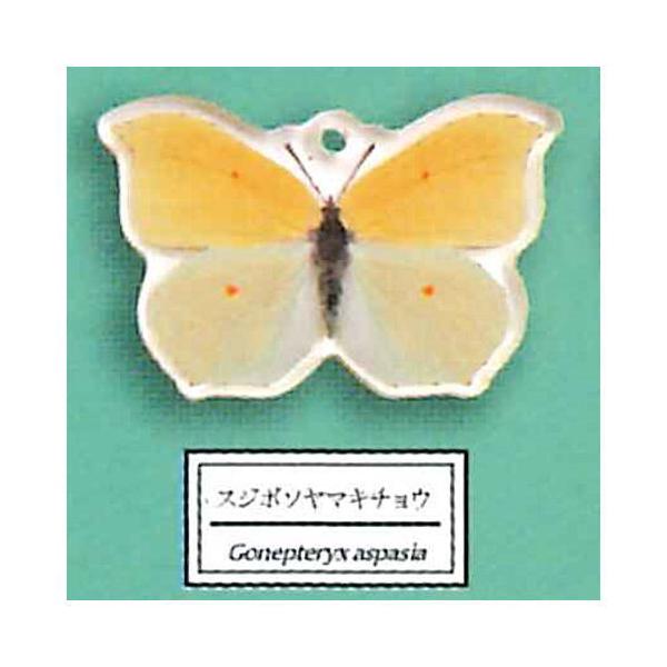 TCGXeNjJ[ w҂̎IW{ AN}XRbg3 [8.XW{\}L`E]ylR|XzΉzyCz