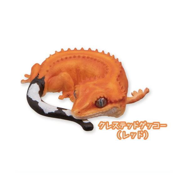 ニシアフリカトカゲモドキとクレステッドゲッコー おやすみシリーズ [5.クレステッドゲッコー(レッド）]【ネコポス配送対応】【C】