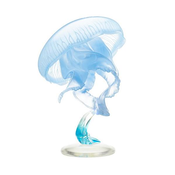 クラゲ クラゲ LEDライトコレクション – ネイチャーテクニカラー公式