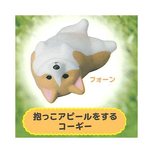 【抱っこアピールをするコーギー（フォーン）】アニマルアトラクション こぎさんぽ 楽天市場】アニマルアトラクション こぎさんぽ 8：抱っこ