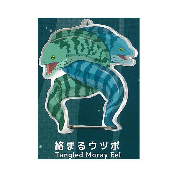 【ぐぅたらウツボ】 ウツボのカラビナ [4.絡まるウツボ]【ネコポス配送対応】【C