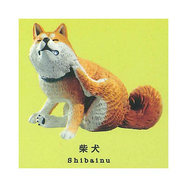 【柴犬】カイカイ 灰色メロン カイカイ [4.柴犬]【 ネコポス不可 】【C