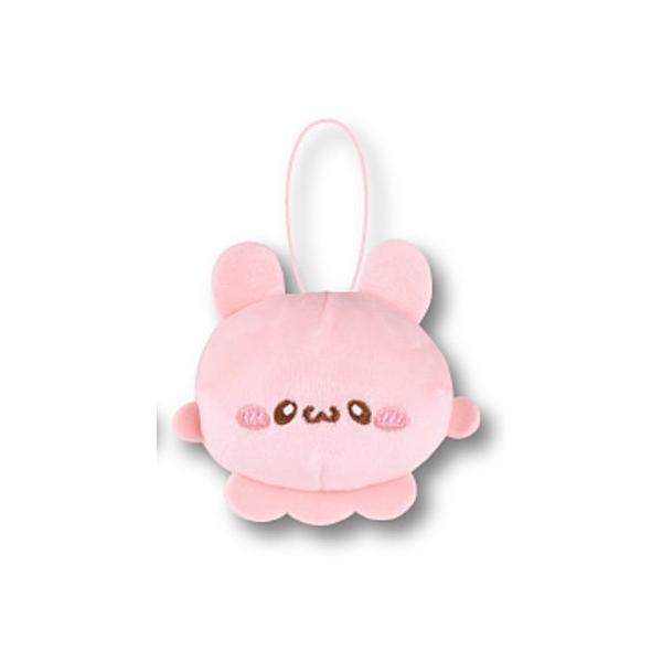 こぶたねこ様 リクエスト 2点 まとめ商品 I asked my cat to choose the birthday present I wanted, and