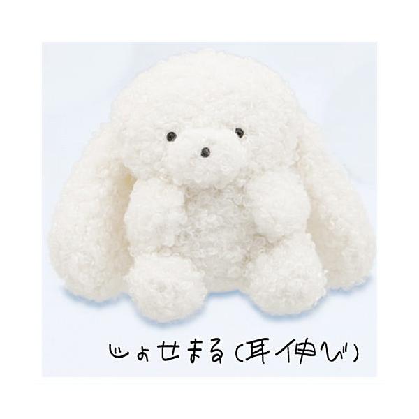 じょせまる マスコット じょせまる べび らて まるころ 5点セット じょせまる マスコット | 商品紹介 | 株式会社パレード プライズ
