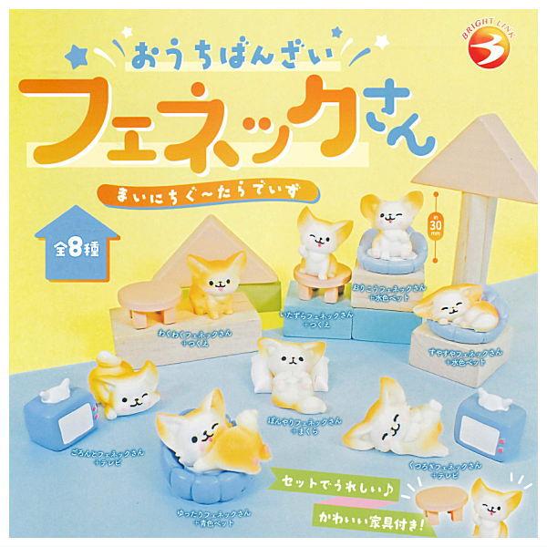 お家が決まりました　◆cotton tail◆ フェネックちゃん 全部揃ってます!!】おうちばんざい！フェネックさんまいにちぐ〜たらで