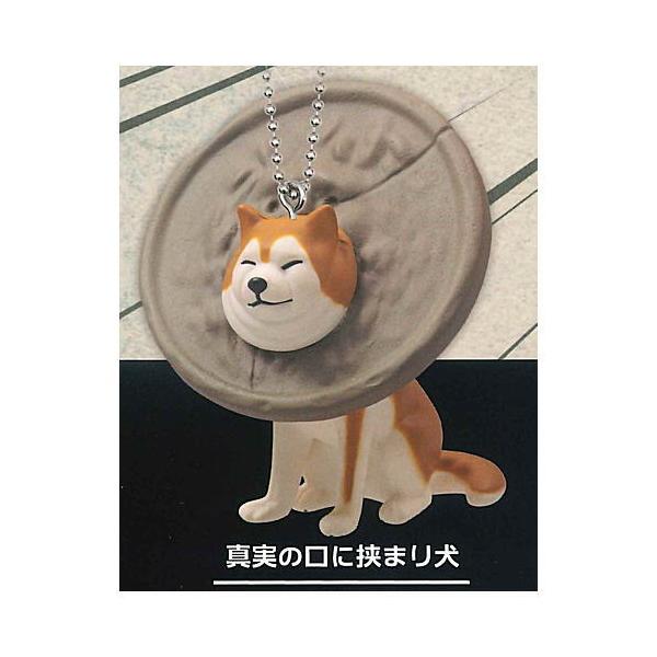 NEW 挟まり犬3 マスコットボールチェーン [2.真実の口に挟まり犬