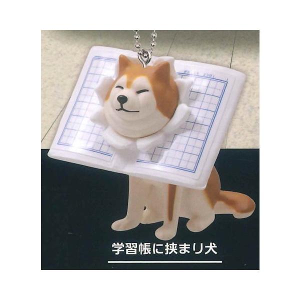 NEW 挟まり犬3 マスコットボールチェーン [4.学習帳に挟まり犬