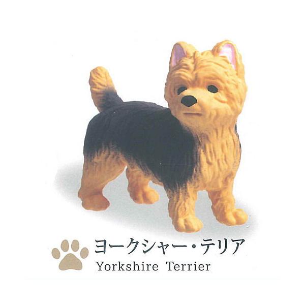 世界の名犬セレクションII [5.ヨークシャー・テリア]【ネコポス配送