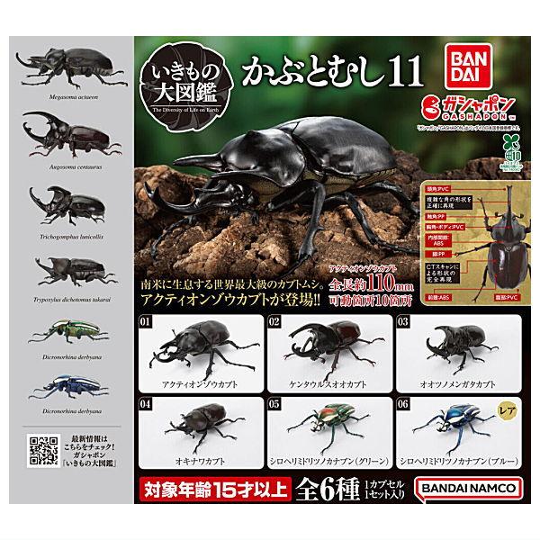 BANDAI（バンダイ） 【全部揃ってます!!】いきもの大図鑑 かぶとむし11